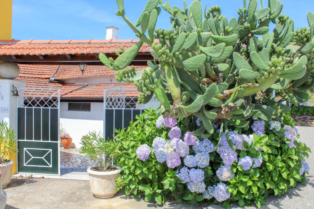 Quinta De Vale Escuro Hotel โลซา ภายนอก รูปภาพ